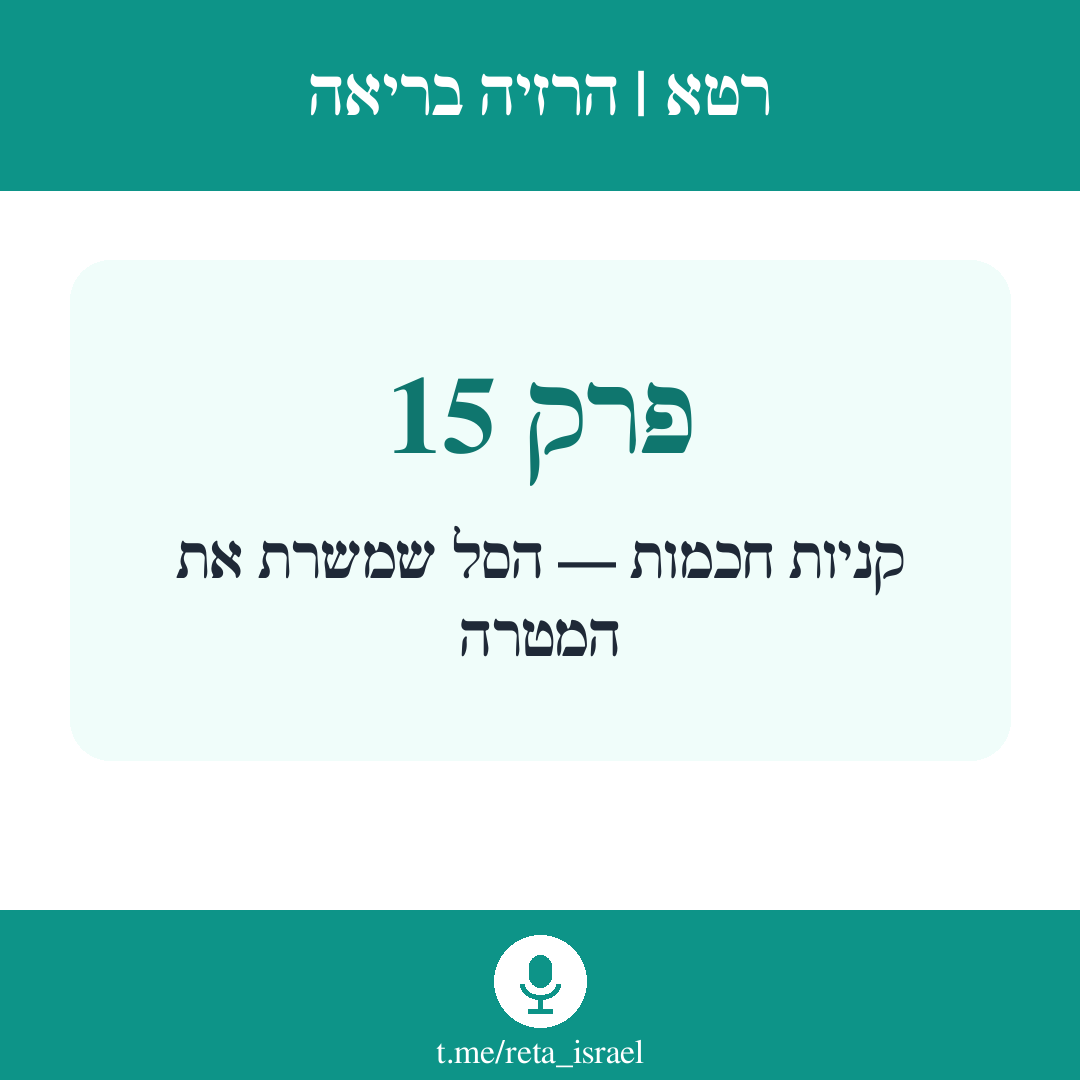 פרק 15 — קניות חכמות — הסל שמשרת את המטרה
